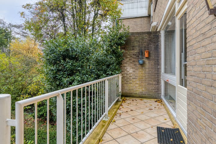 Foto 41 van A.M. de Jonglaan 21