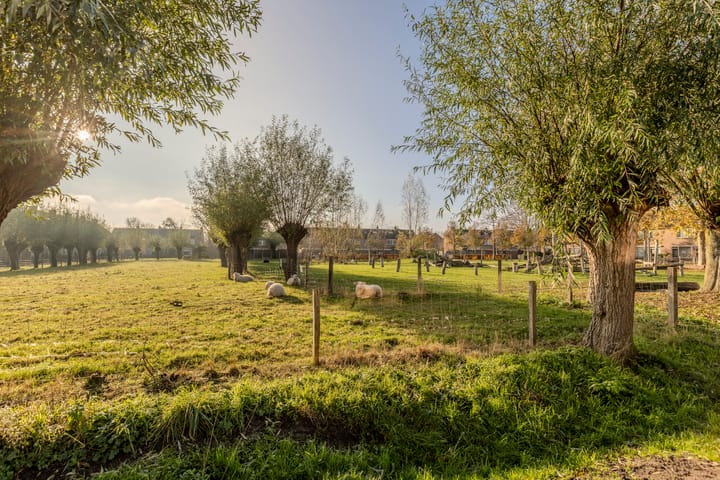 Photo 43 of Kamille 47