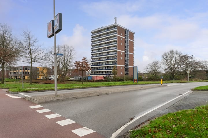 Photo 6 of Scheerling 153