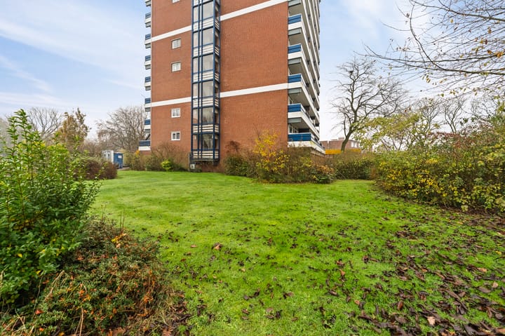 Photo 9 of Scheerling 153