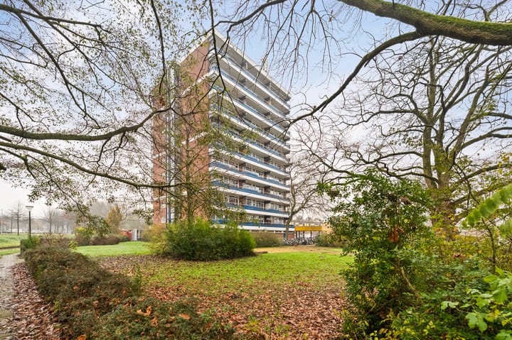 Photo 10 of Scheerling 153