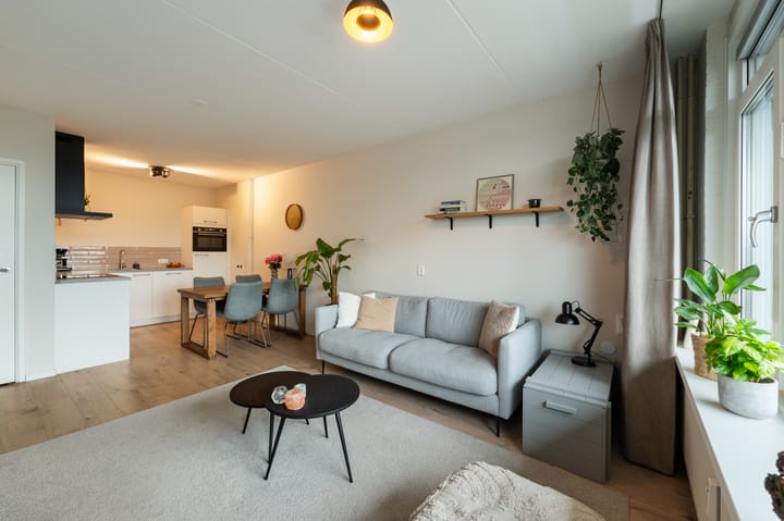 Photo 2 of Scheerling 153