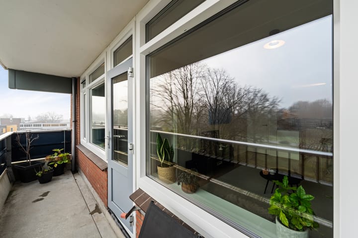 Photo 38 of Scheerling 153