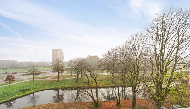 Photo 40 of Scheerling 153