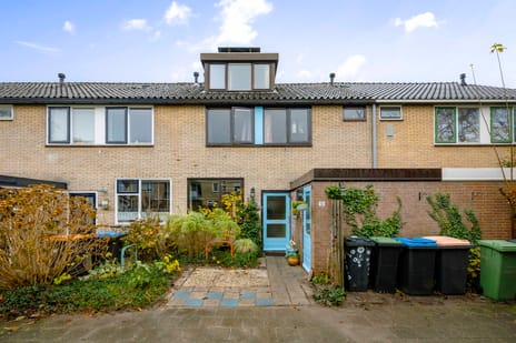 undefined main image