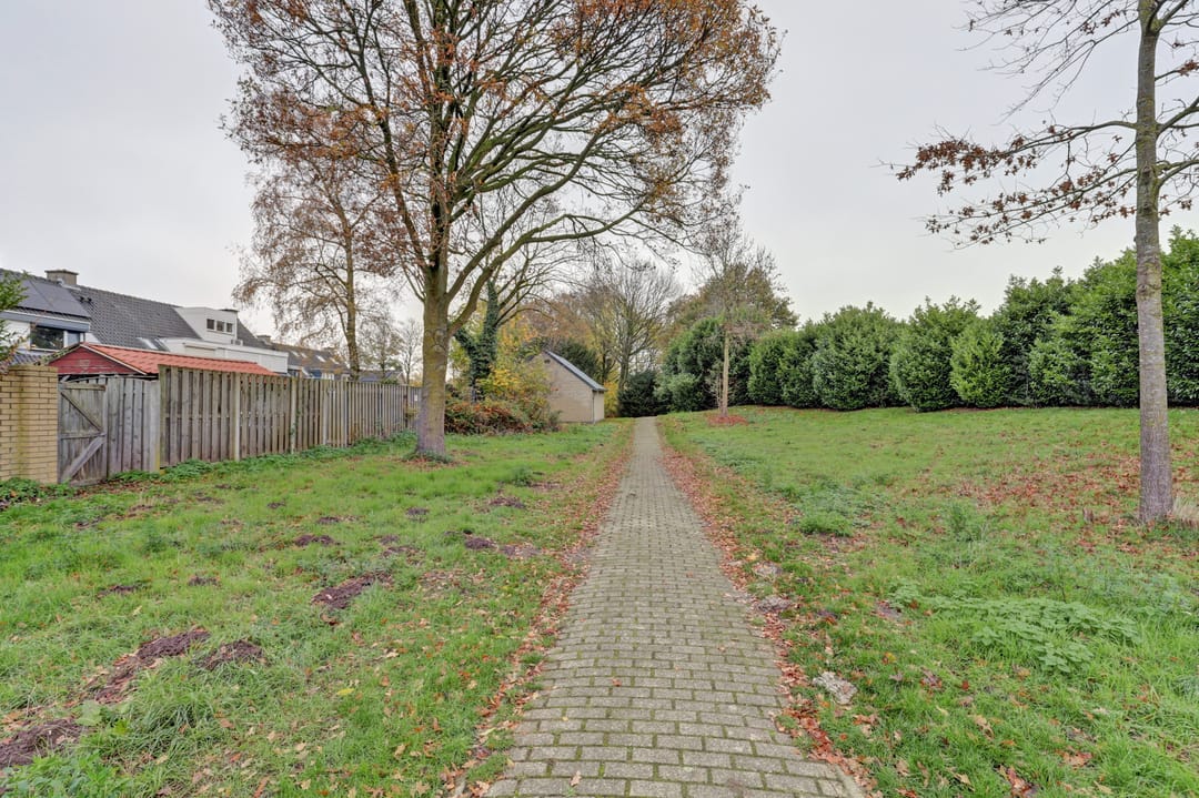 Foto 31 van Mambostraat 118