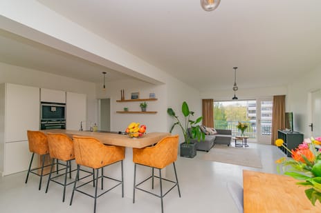 Burgemeester Hogguerstraat 81 secondary image