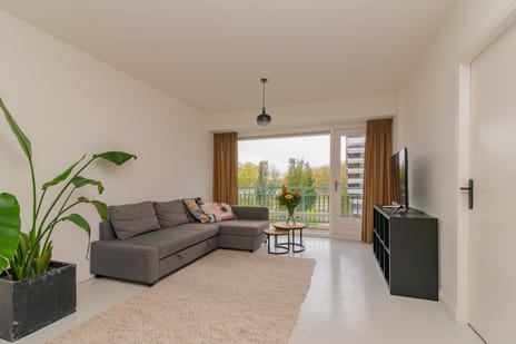 Burgemeester Hogguerstraat 81 tertiary image