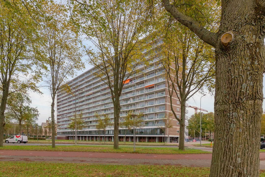 Foto 23 van Burgemeester Hogguerstraat 81