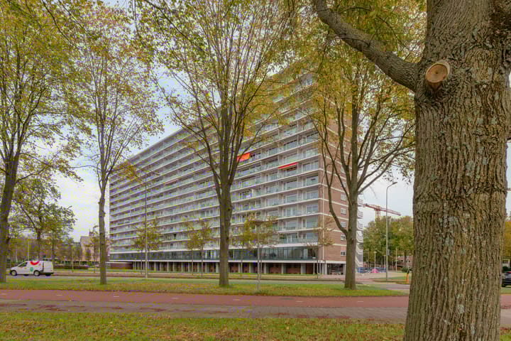 Foto 23 van Burgemeester Hogguerstraat 81