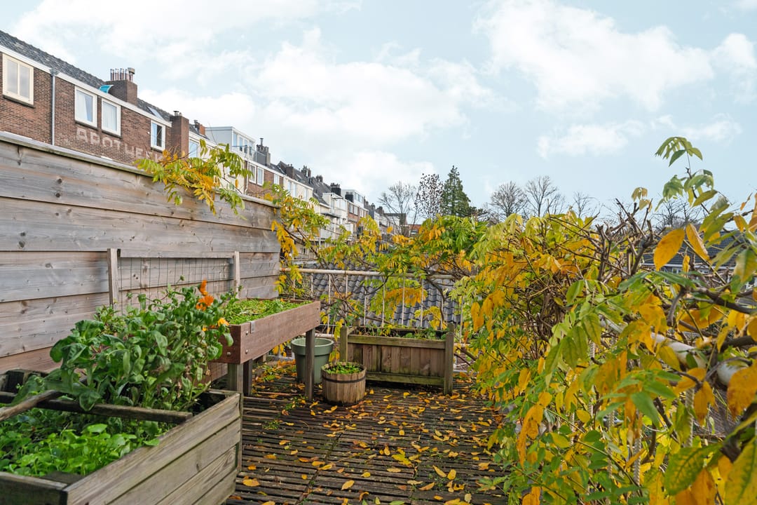 Foto 28 van Acaciastraat 21