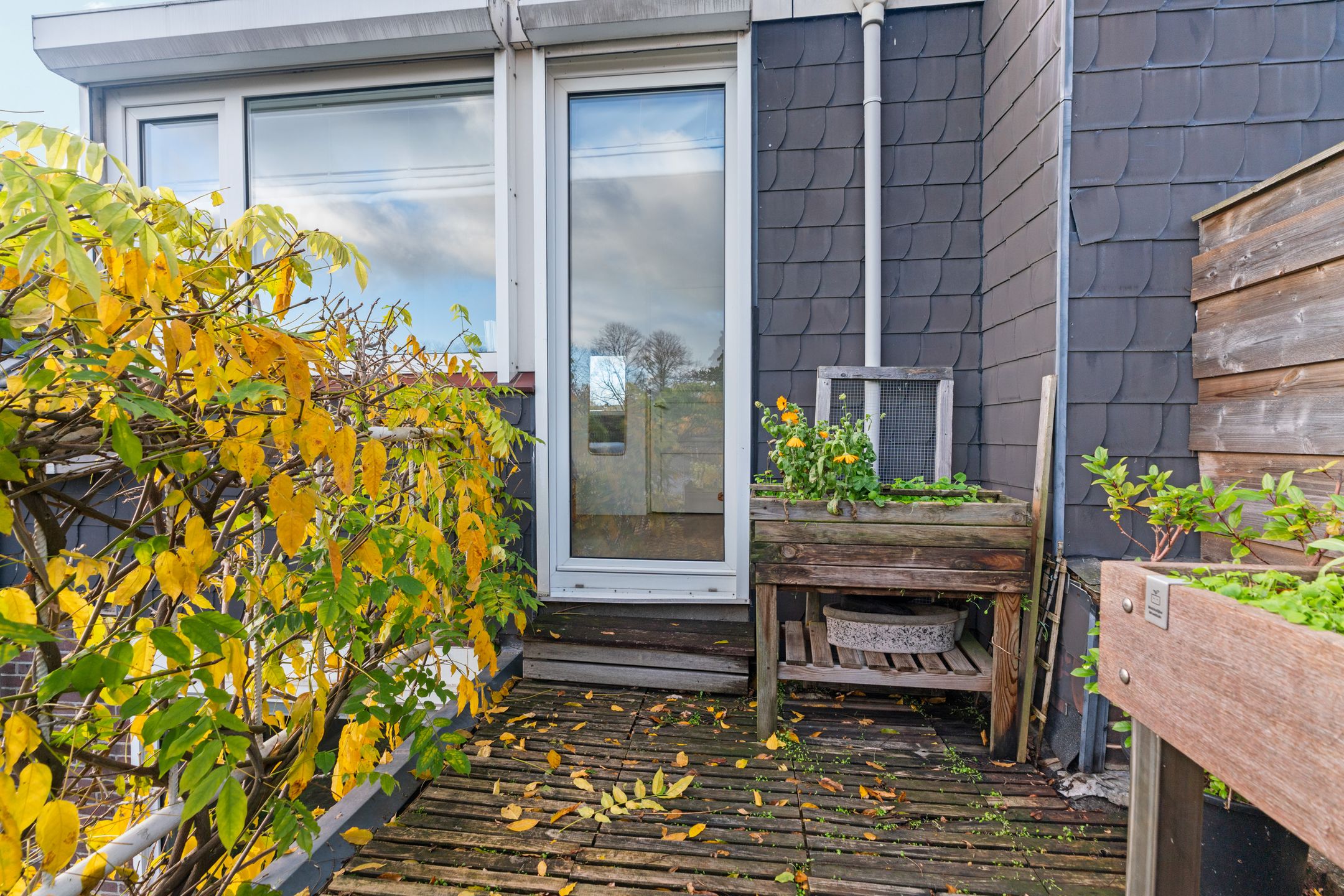 Foto 27 van Acaciastraat 21