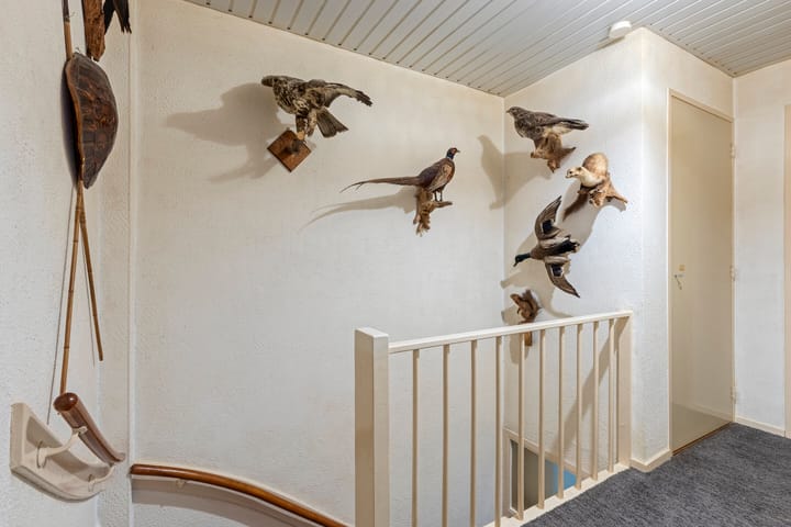 Foto 17 van Goudenregenstraat 46