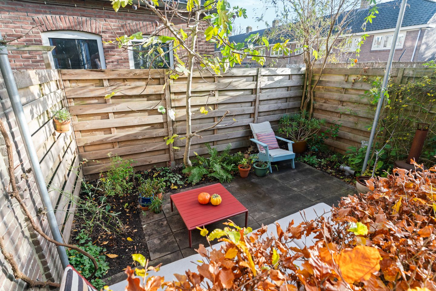 Foto 44 van Acaciastraat 21