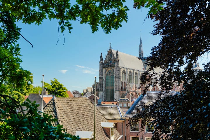 Photo 71 of Nieuwe Rijn 17