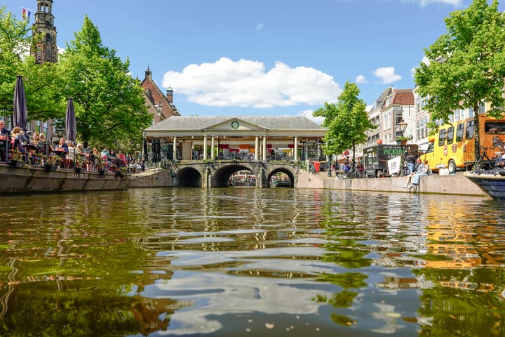 Photo 77 of Nieuwe Rijn 17