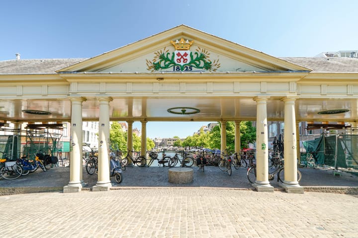 Photo 80 of Nieuwe Rijn 17