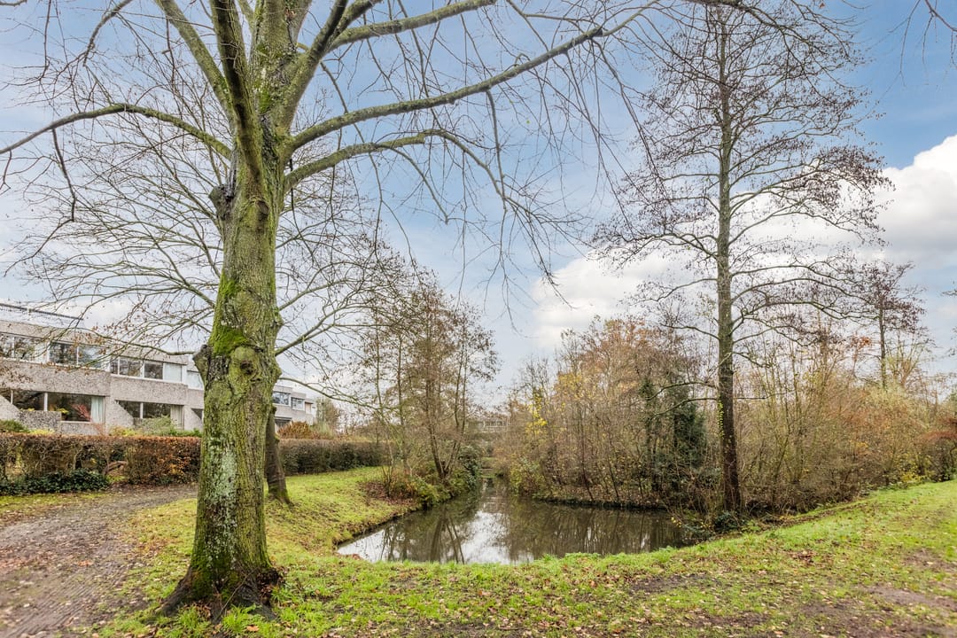 Foto 2 van Ardennen 2