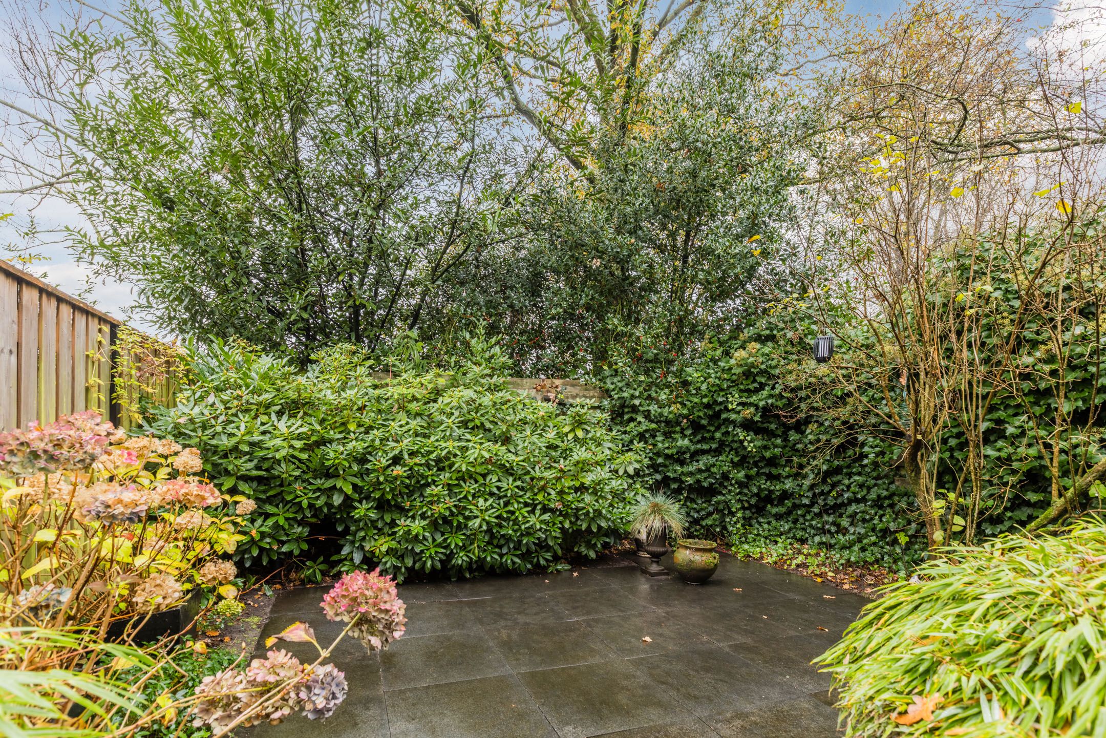 Foto 48 van Ardennen 2