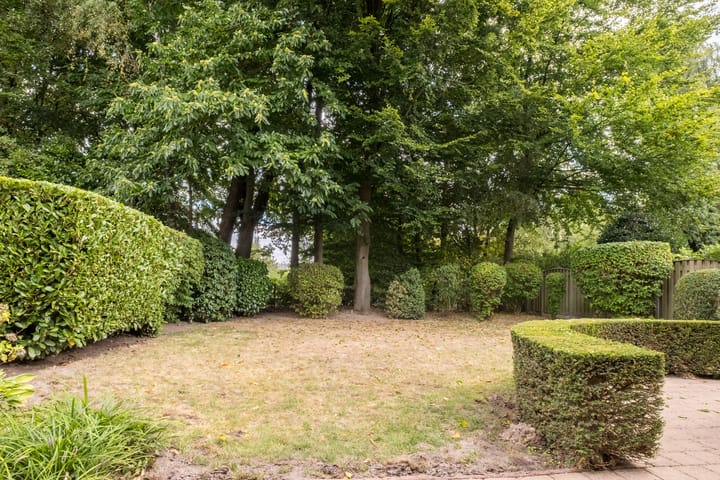 Photo 39 of Severeind 7