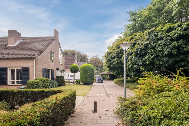 Photo 42 of Severeind 7