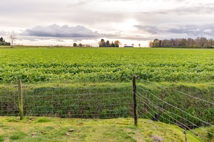 Foto 54 van Beumeesweg 111