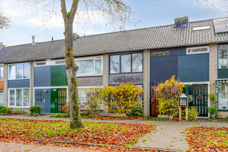 undefined main image