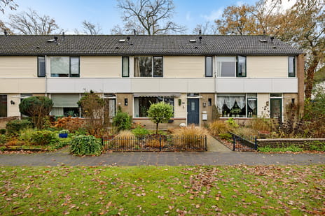 undefined main image