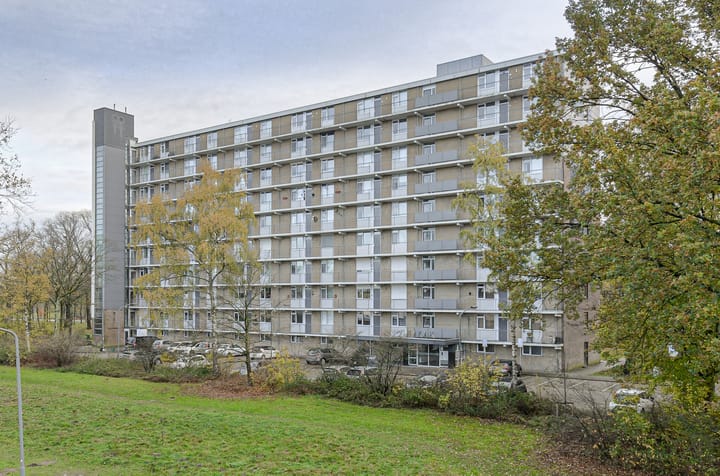 Foto 2 van Boerhaavelaan 125