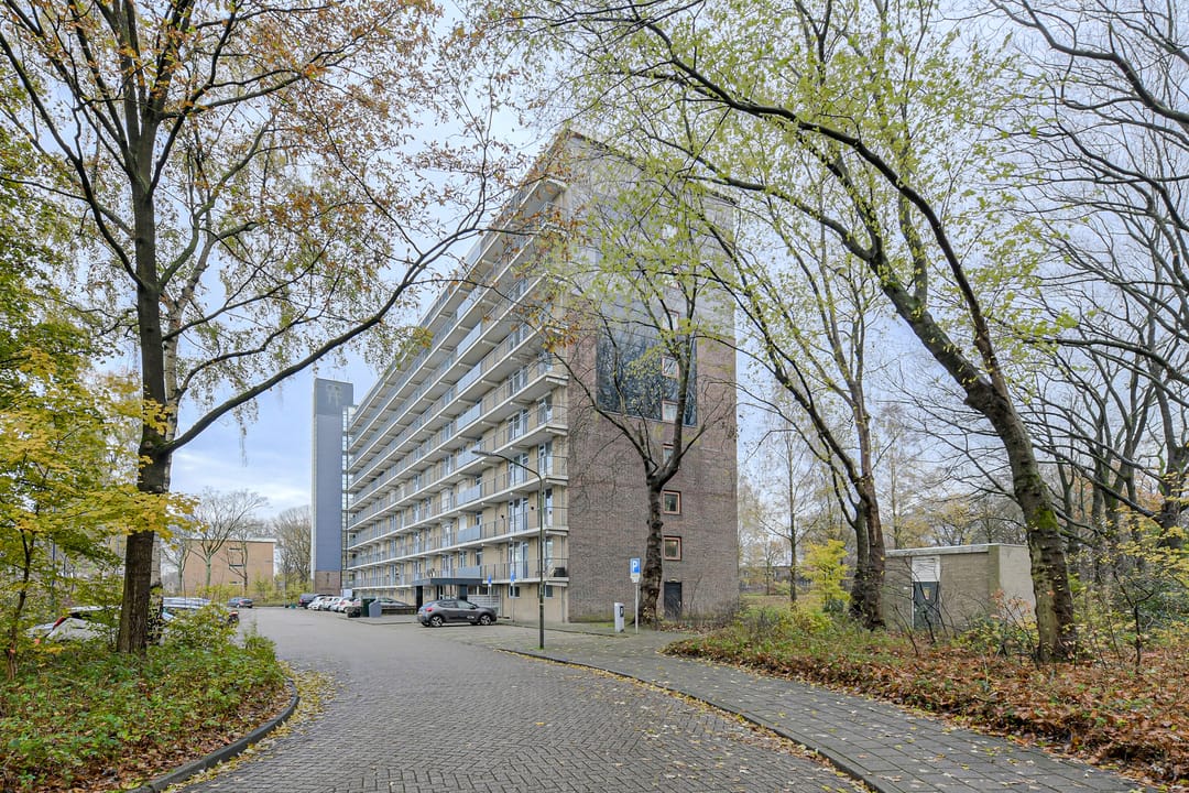 Foto 2 van Boerhaavelaan 125