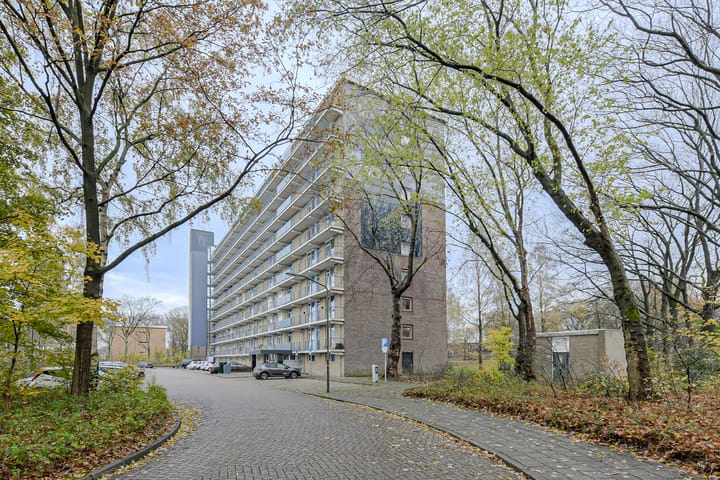 Foto 3 van Boerhaavelaan 125