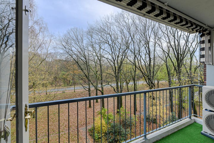 Foto 15 van Boerhaavelaan 125