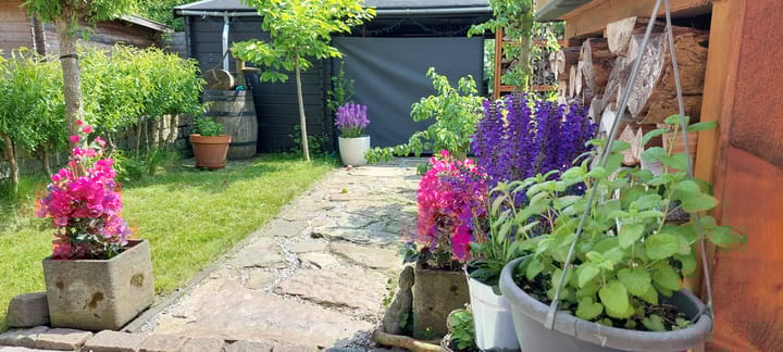 Foto 39 van Kotter 15