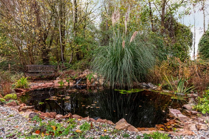 Photo 41 of Klavergriend 38-B