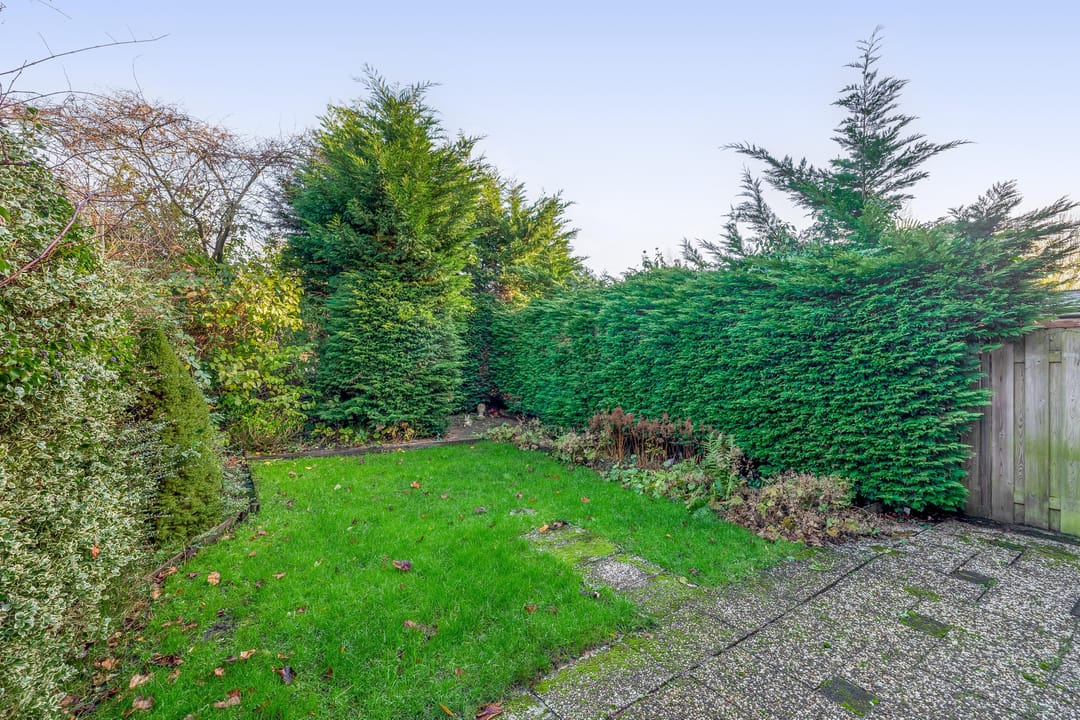 Foto 31 van Het Hogeland 9