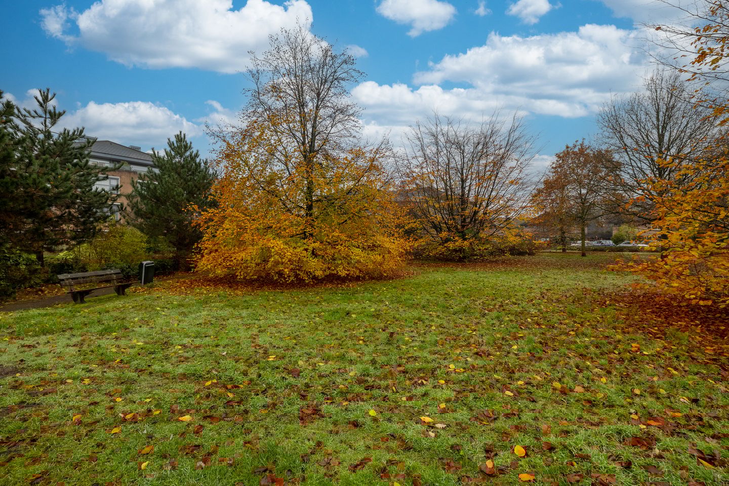 Foto 29 van Majellapark 25