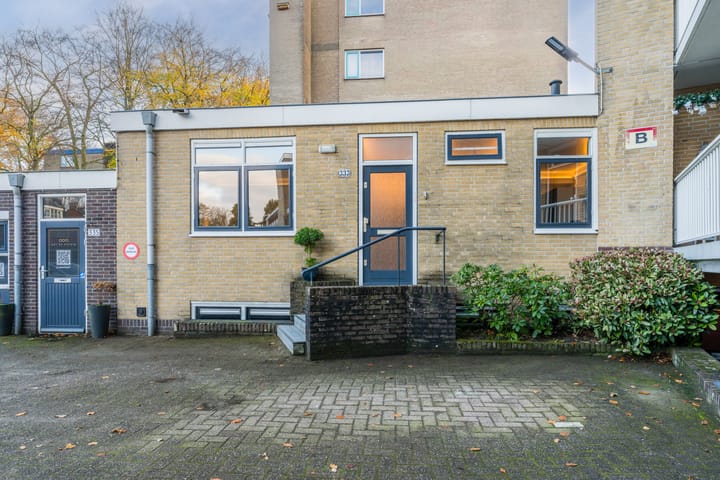 Photo 26 of Brinklaan 333