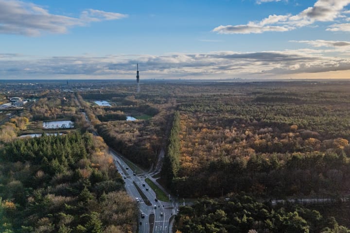 Photo 34 of Brinklaan 333