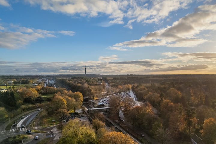 Photo 35 of Brinklaan 333