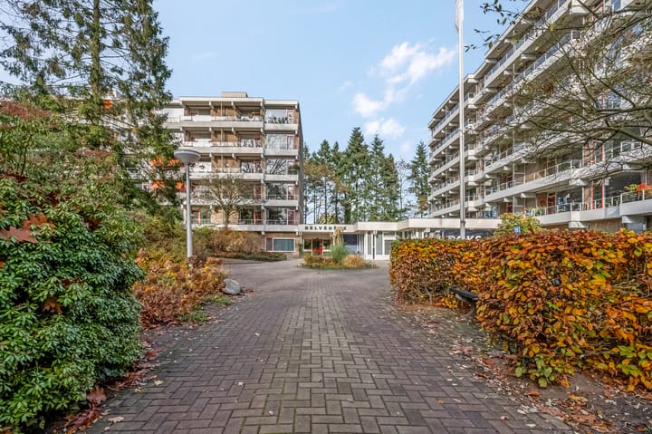 Foto 35 van Dennenlaan 105