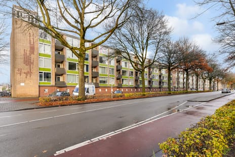 Statenlaan thumbnail