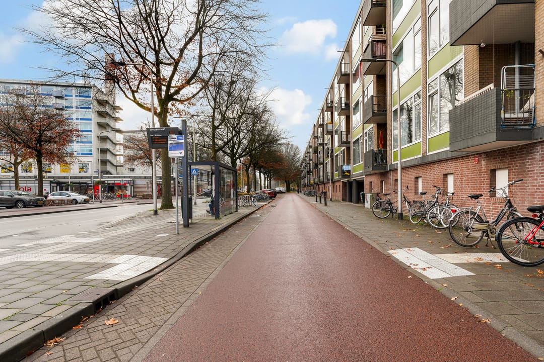 Foto 38 van Statenlaan 259