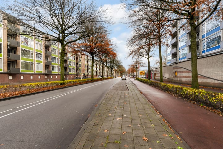 Foto 39 van Statenlaan 259