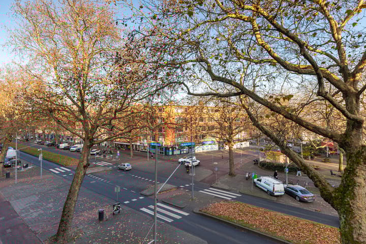 Foto 43 van Dordtselaan 101-A