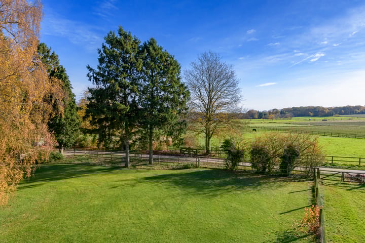 Photo 51 of Konijnenkamp 41