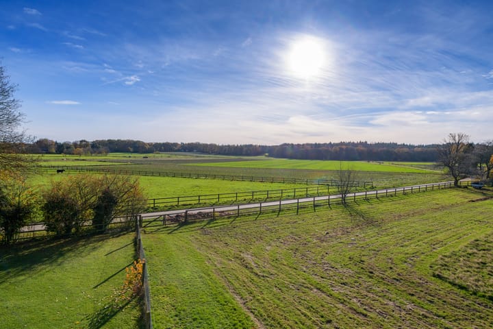 Photo 52 of Konijnenkamp 41