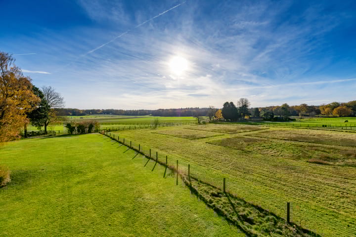 Photo 64 of Konijnenkamp 41