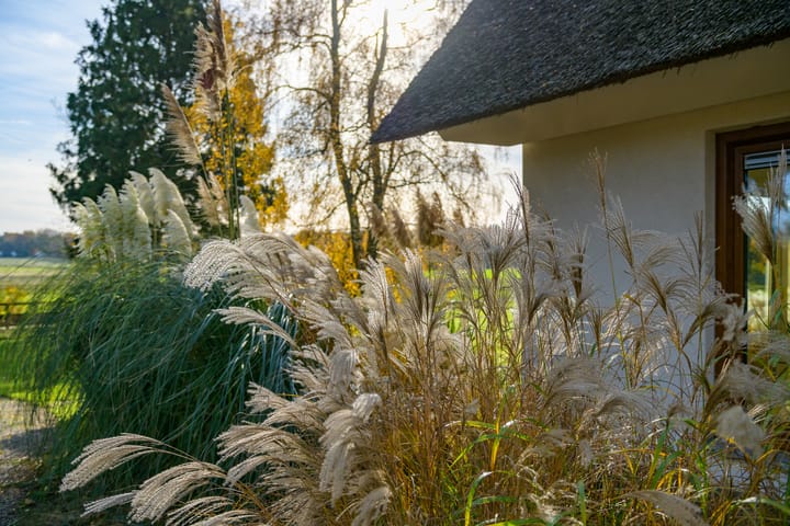 Photo 65 of Konijnenkamp 41