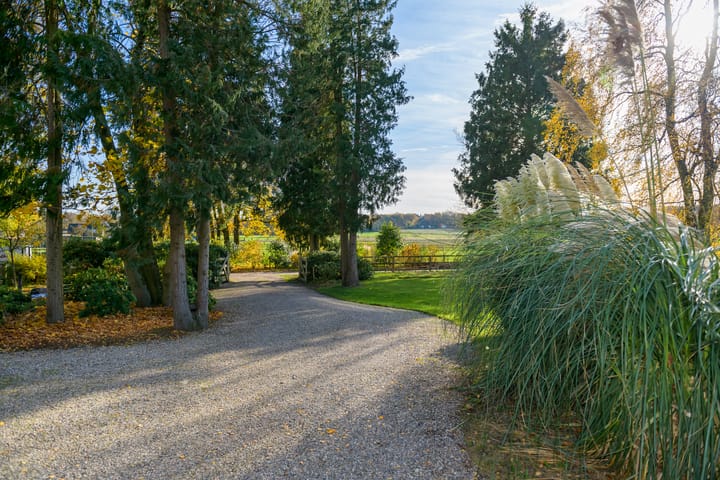 Photo 66 of Konijnenkamp 41