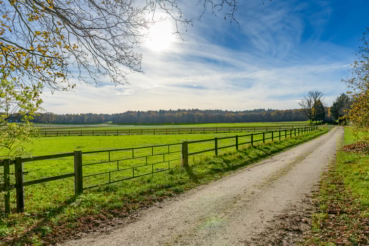 Photo 72 of Konijnenkamp 41